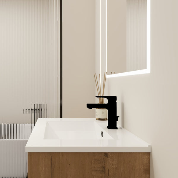 English Elm 24 24 Inch Bathroom Vanity with Ceramic Sink, Freestanding or Wall-Mount, Soft-Close Doors, Storage W999S00076