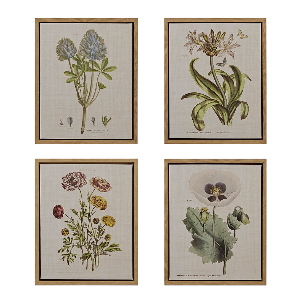 Martha Stewart Herbal Botany Canvas Wall Art - Thumbnail 2