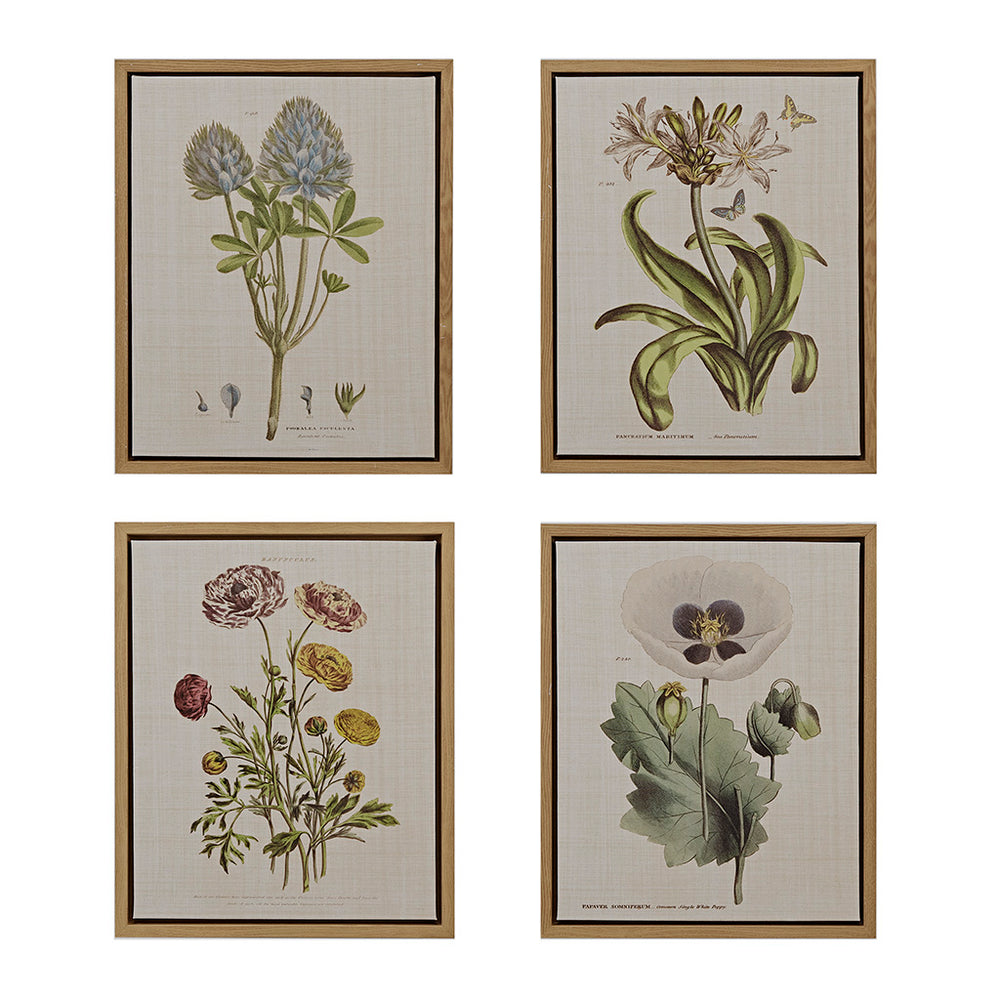 English Elm 4-piece Martha Stewart Herbal Botany Framed Canvas Wall Art Set – Floral Linen Prints, Cottage Green Taupe Elegance B03599414