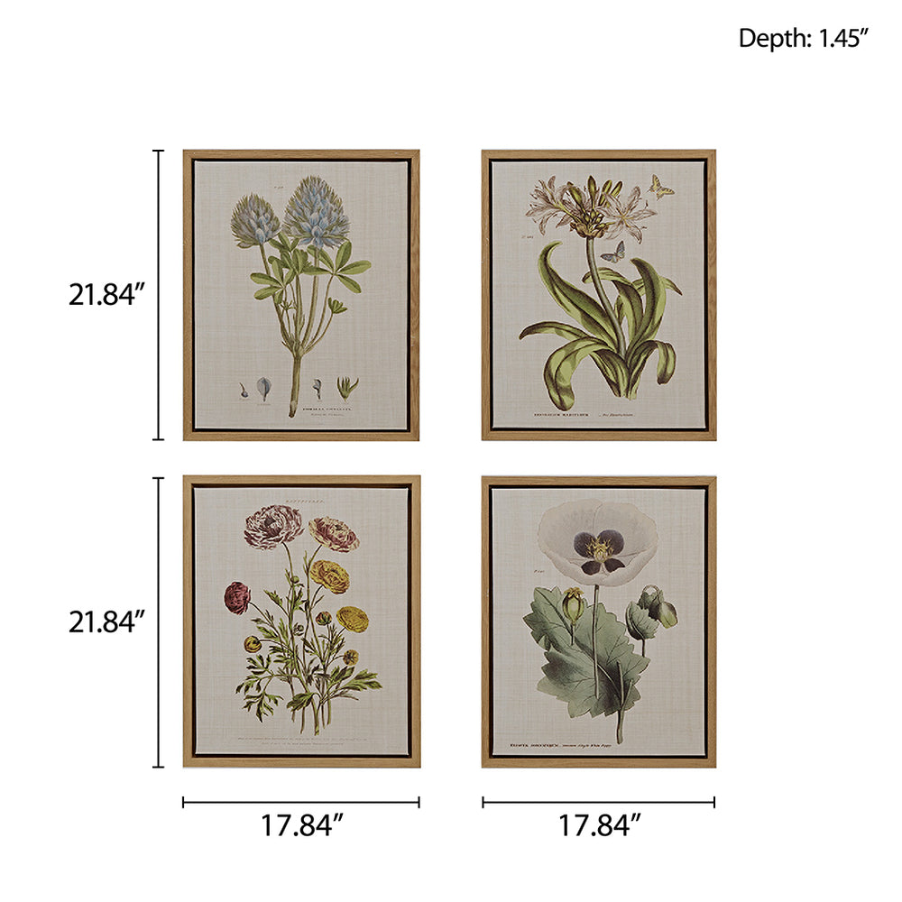 English Elm 4-piece Martha Stewart Herbal Botany Framed Canvas Wall Art Set – Floral Linen Prints, Cottage Green Taupe Elegance B03599414