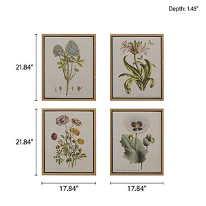 English Elm 4-piece Martha Stewart Herbal Botany Framed Canvas Wall Art Set – Floral Linen Prints, Cottage Green Taupe Elegance B03599414