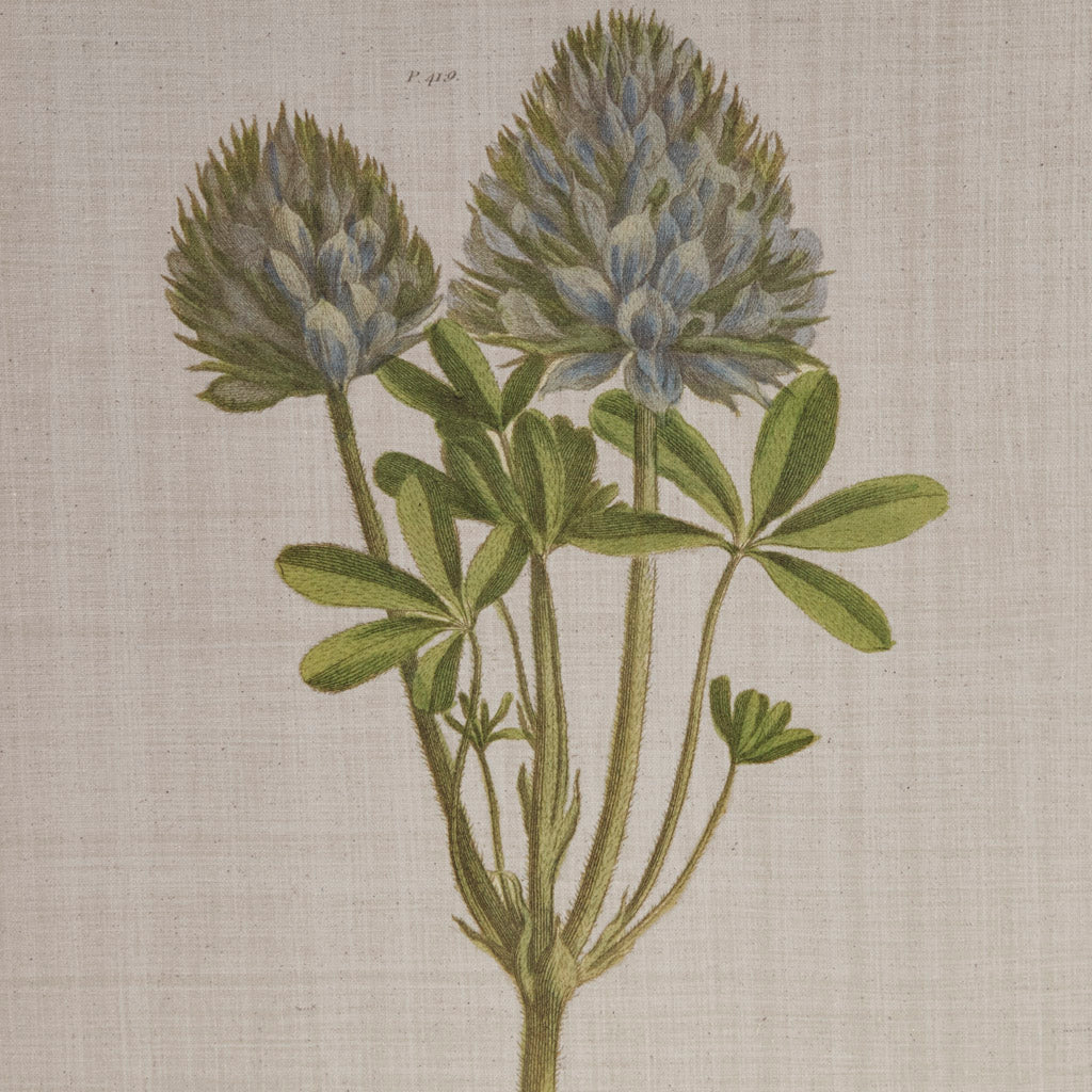 Martha Stewart Herbal Botany Canvas Wall Art - Thumbnail 5