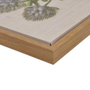English Elm 4-piece Martha Stewart Herbal Botany Framed Canvas Wall Art Set – Floral Linen Prints, Cottage Green Taupe Elegance B03599414
