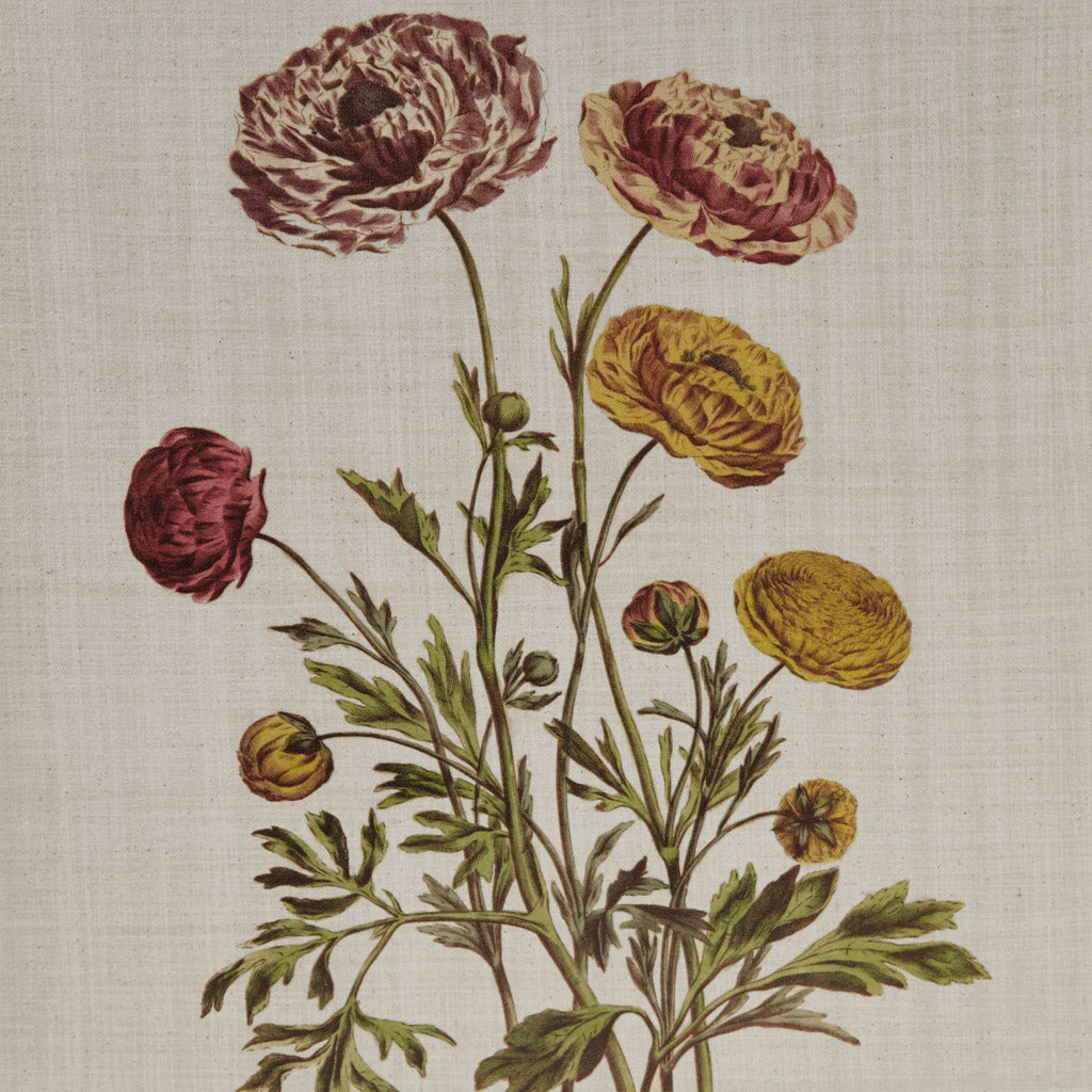 Martha Stewart Herbal Botany Canvas Wall Art - Thumbnail 4