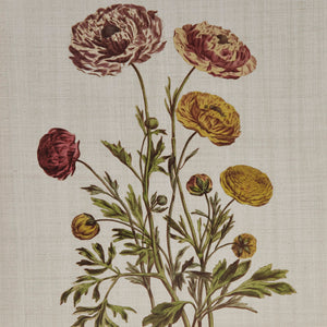 English Elm 4-piece Martha Stewart Herbal Botany Framed Canvas Wall Art Set – Floral Linen Prints, Cottage Green Taupe Elegance B03599414