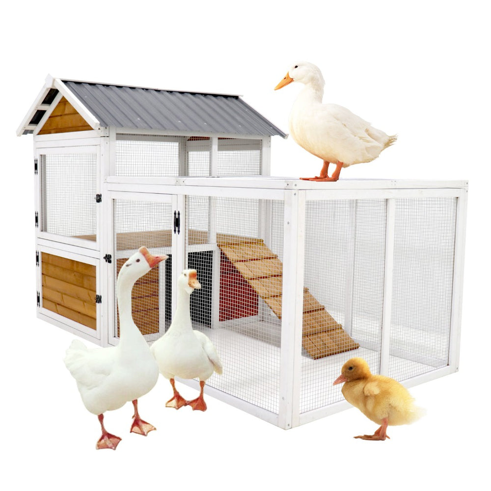 English Elm 77"large Wooden Outdoor Coop with Nest Box Pvc Waterproof Backyard Multi-pet Hutch W1431112872