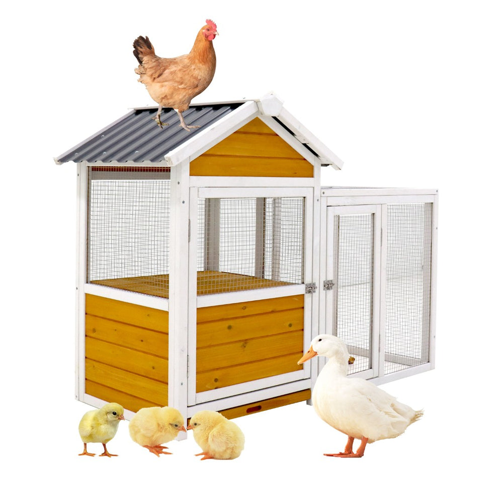English Elm Large Solid Wood Outdoor Chicken Coop with Nest Box and Weatherproof Pvc Cladding W1431111746