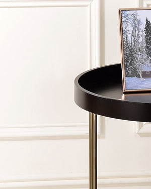 English Elm 21.75" Espresso Edie Mid-Century Side Table with Acrylic Lipped Edge & Copper Chrome Legs, Stylish Storage B072115857