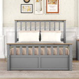 Cooper Full Size Platform Bed with 2 Drawers and Slat Support, Grey and Natural