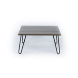 Lona Modern Coffee Table with Sleek Metal Legs | 24