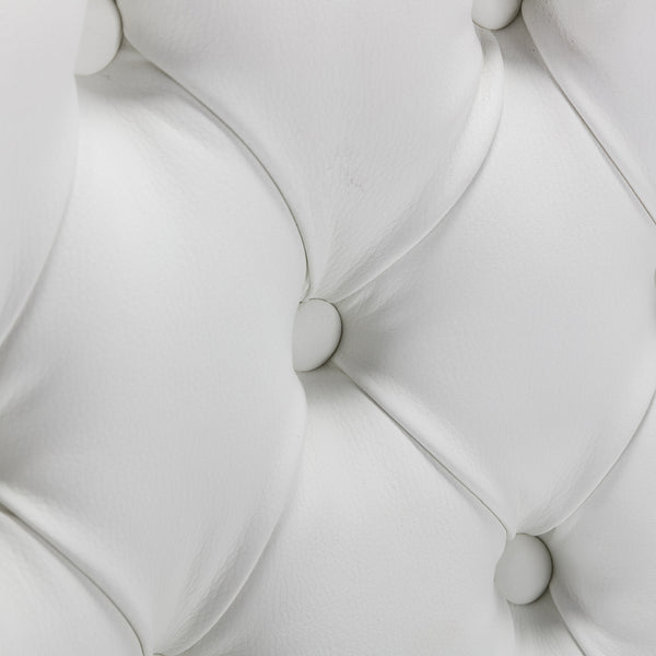 English Elm A&A Nikki Collection Tufted Modern Dining Chairs 2-Pc Set – Solid Wood Legs, PU & Velvet Upholstery, Nailhead Trim W1143111918