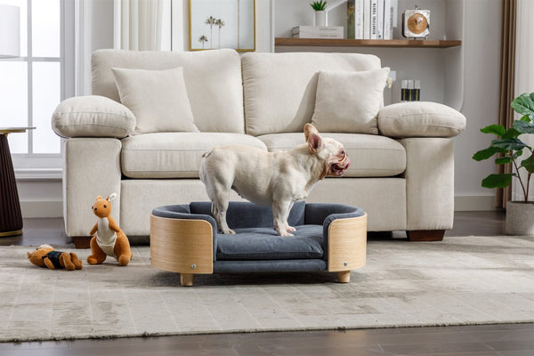 English Elm Scandinavian Elevated Dog Bed Sofa with Solid Wood Legs, Bent Back, Velvet Cushion, Mid Size Dark Grey W79490081