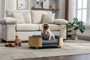 English Elm Scandinavian Elevated Dog Bed Sofa with Solid Wood Legs, Bent Back, Velvet Cushion, Mid Size Dark Grey W79490081