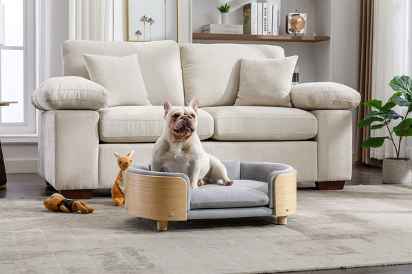 English Elm Scandinavian Elevated Dog Bed Sofa with Solid Wood Legs, Velvet Removable Cover, Mid Size Grey W79490077