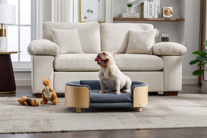 English Elm Scandinavian Elevated Dog Bed Sofa with Solid Wood Legs, Bent Back, Velvet Cushion, Mid Size Dark Grey W79490081