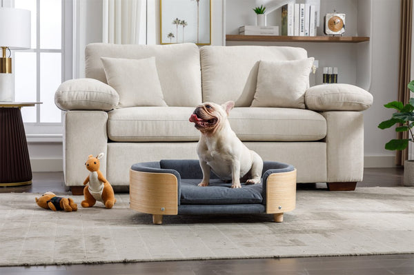 English Elm Scandinavian Elevated Dog Bed Sofa with Solid Wood Legs, Bent Back, Velvet Cushion, Mid Size Dark Grey W79490081
