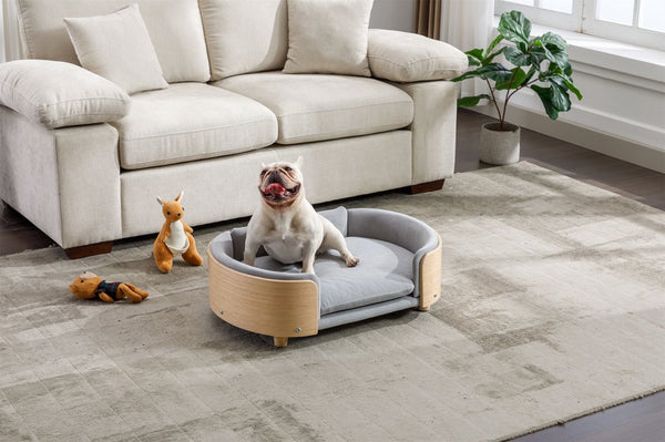 English Elm Scandinavian Elevated Dog Bed Sofa with Solid Wood Legs, Velvet Removable Cover, Mid Size Grey W79490077