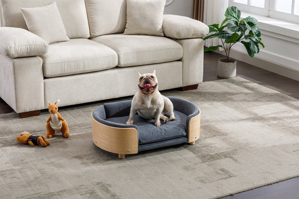 English Elm Scandinavian Elevated Dog Bed Sofa with Solid Wood Legs, Bent Back, Velvet Cushion, Mid Size Dark Grey W79490081
