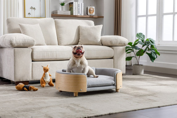 English Elm Scandinavian Elevated Dog Bed Sofa with Solid Wood Legs, Velvet Removable Cover, Mid Size Grey W79490077