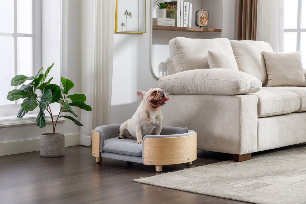 English Elm Scandinavian Elevated Dog Bed Sofa with Solid Wood Legs, Velvet Removable Cover, Mid Size Grey W79490077