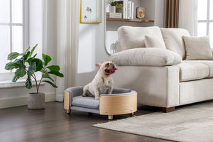 English Elm Scandinavian Elevated Dog Bed Sofa with Solid Wood Legs, Velvet Removable Cover, Mid Size Grey W79490077