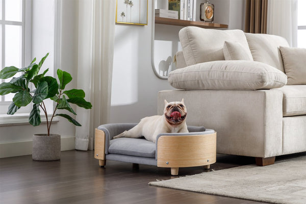 English Elm Scandinavian Elevated Dog Bed Sofa with Solid Wood Legs, Velvet Removable Cover, Mid Size Grey W79490077