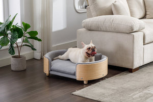 English Elm Scandinavian Elevated Dog Bed Sofa with Solid Wood Legs, Velvet Removable Cover, Mid Size Grey W79490077