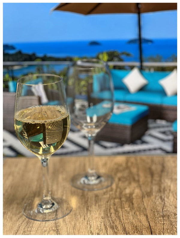 English Elm Plastic Wine Glasses Set Of 4, Bpa-Free Tritan, Unbreakable & Dishwasher-Safe For All Occasions B095120354-GIGA