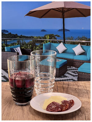 English Elm Swirl Acrylic Tumblers Set Of 4, 20Oz Shatterproof Drinkware, Stylish Bpa-Free Cocktail Glasses B095120393-GIGA