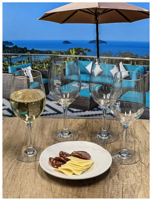 English Elm Plastic Wine Glasses Set Of 4, Bpa-Free Tritan, Unbreakable & Dishwasher-Safe For All Occasions B095120354-GIGA