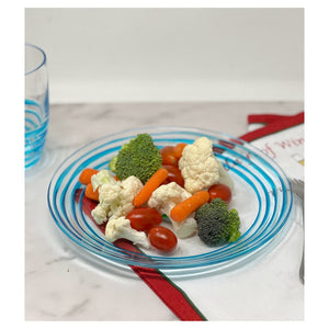 English Elm Designer Swirl 9" Plastic Dessert Plates Set Of 4 - Elegant Blue Acrylic Plates For All Occasions B095120396