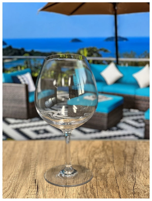 English Elm Plastic Wine Glasses Set Of 4, 23Oz Unbreakable Tritan Stemware – Elegant, Bpa-Free, Dishwasher Safe! B095120356-GIGA