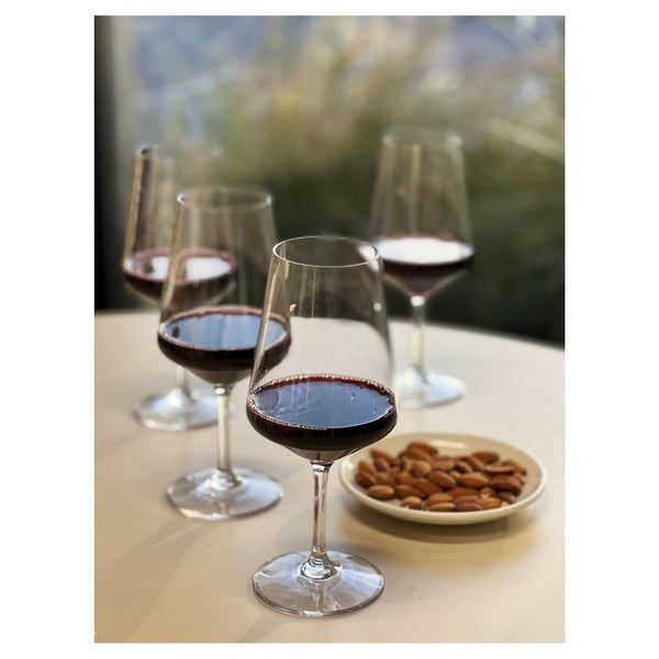 English Elm Plastic Wine Glasses Set Of 4, Unbreakable & Bpa-Free Tritan, Perfect For Outdoor Parties & Picnics B095120363-GIGA