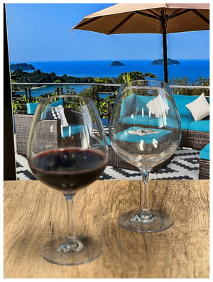 English Elm Plastic Wine Glasses Set Of 4, 23Oz Unbreakable Tritan Stemware – Elegant, Bpa-Free, Dishwasher Safe! B095120356-GIGA