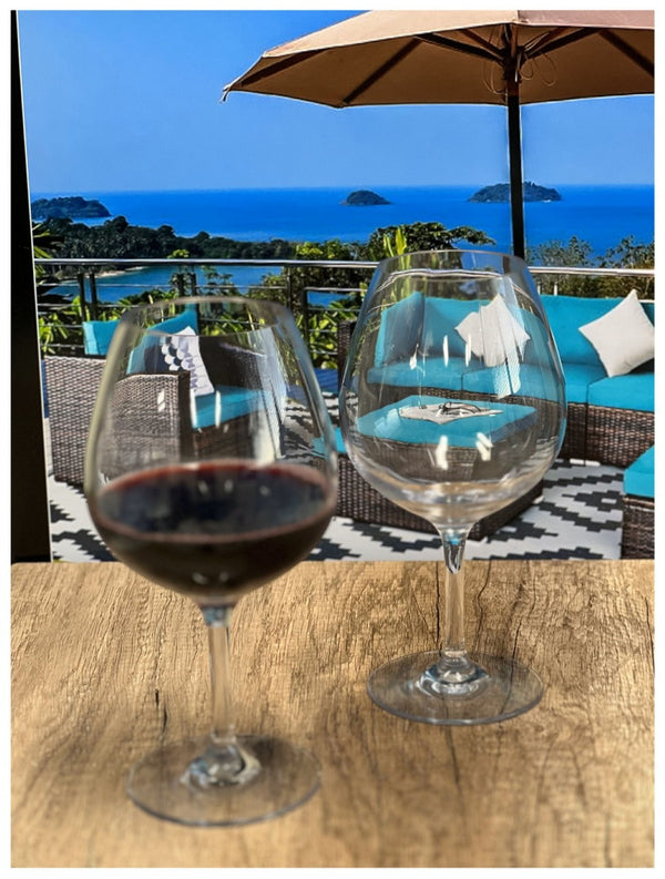 English Elm Plastic Wine Glasses Set Of 4, 23Oz Unbreakable Tritan Stemware – Elegant, Bpa-Free, Dishwasher Safe! B095120356-GIGA