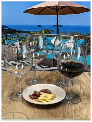 English Elm Plastic Wine Glasses Set Of 4, 23Oz Unbreakable Tritan Stemware – Elegant, Bpa-Free, Dishwasher Safe! B095120356-GIGA