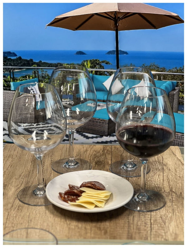 English Elm Plastic Wine Glasses Set Of 4, 23Oz Unbreakable Tritan Stemware – Elegant, Bpa-Free, Dishwasher Safe! B095120356-GIGA