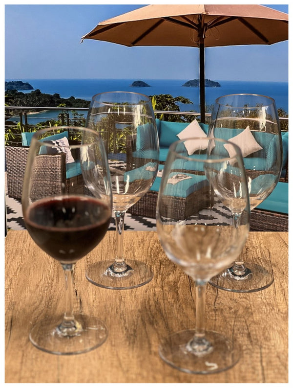 English Elm Plastic Wine Glasses Set Of 4, 20Oz Unbreakable Tritan Stemmed Glasses For Indoor & Outdoor Use B095120355-GIGA