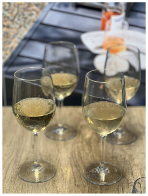 English Elm Plastic Wine Glasses Set Of 4 - Unbreakable 12Oz Tritan Stemmed Glasses For Any Occasion! B095120367-GIGA