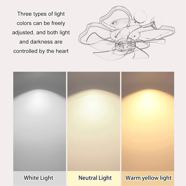 English Elm 19.7 Inch Light Ceiling Fan with Dimmable 24W LED, Remote, Timer, Quiet Modern Butterfly Black W1340103802