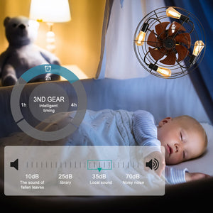 English Elm Caged Ceiling Fan With Light - Modern Low-Profile 20'' Enclosed Fan With Remote, Safe & Stylish Design W1340103792