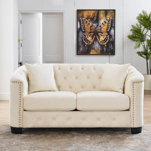 English Elm 59-Inch Modern Chesterfield Velvet Sofa with Tufted Back, Nailhead Arms, Two Cushions, Stylish Comfort Beige W834S00141