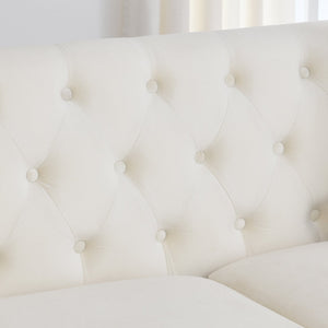 English Elm 59-Inch Modern Chesterfield Velvet Sofa with Tufted Back, Nailhead Arms, Two Cushions, Stylish Comfort Beige W834S00141