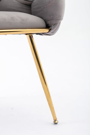 English Elm Luxury Velvet Accent Chairs Set of 2 with Gold Legs for Bedroom or Vanity Gray W1170109318