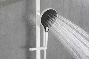 English Elm Eco-performance Stainless Handheld Shower Set with Slide Rail and Long Flex Hose W1272101891