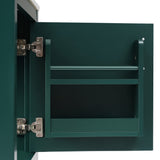 English Elm 20" Bathroom Vanity With Sink, Bathroom Cabinet With Soft Closing Door, Storage Rack and Open Shelf, Green