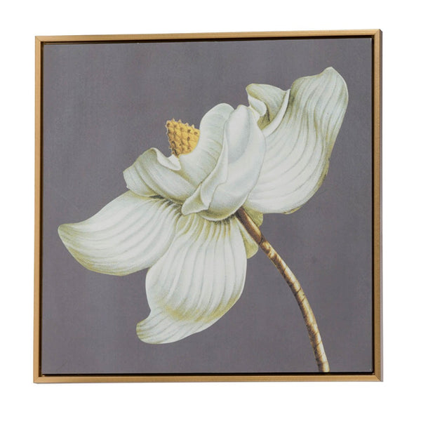 English Elm Set of 4 Framed Botanical Prints White Gold Floral Wall Art for Modern Interiors W2078127367