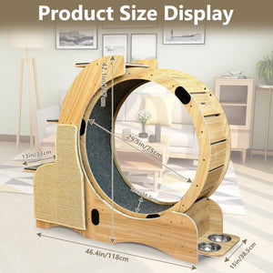 English Elm 5-in-1 Solid Wood Cat Activity Center with Running Wheel Climbing Frame and Litter Station W1790112807