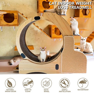 English Elm 5-in-1 Solid Wood Cat Activity Center with Running Wheel Climbing Frame and Litter Station W1790112807