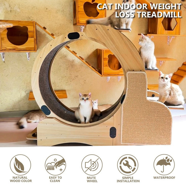 English Elm 5-in-1 Solid Wood Cat Activity Center with Running Wheel Climbing Frame and Litter Station W1790112807